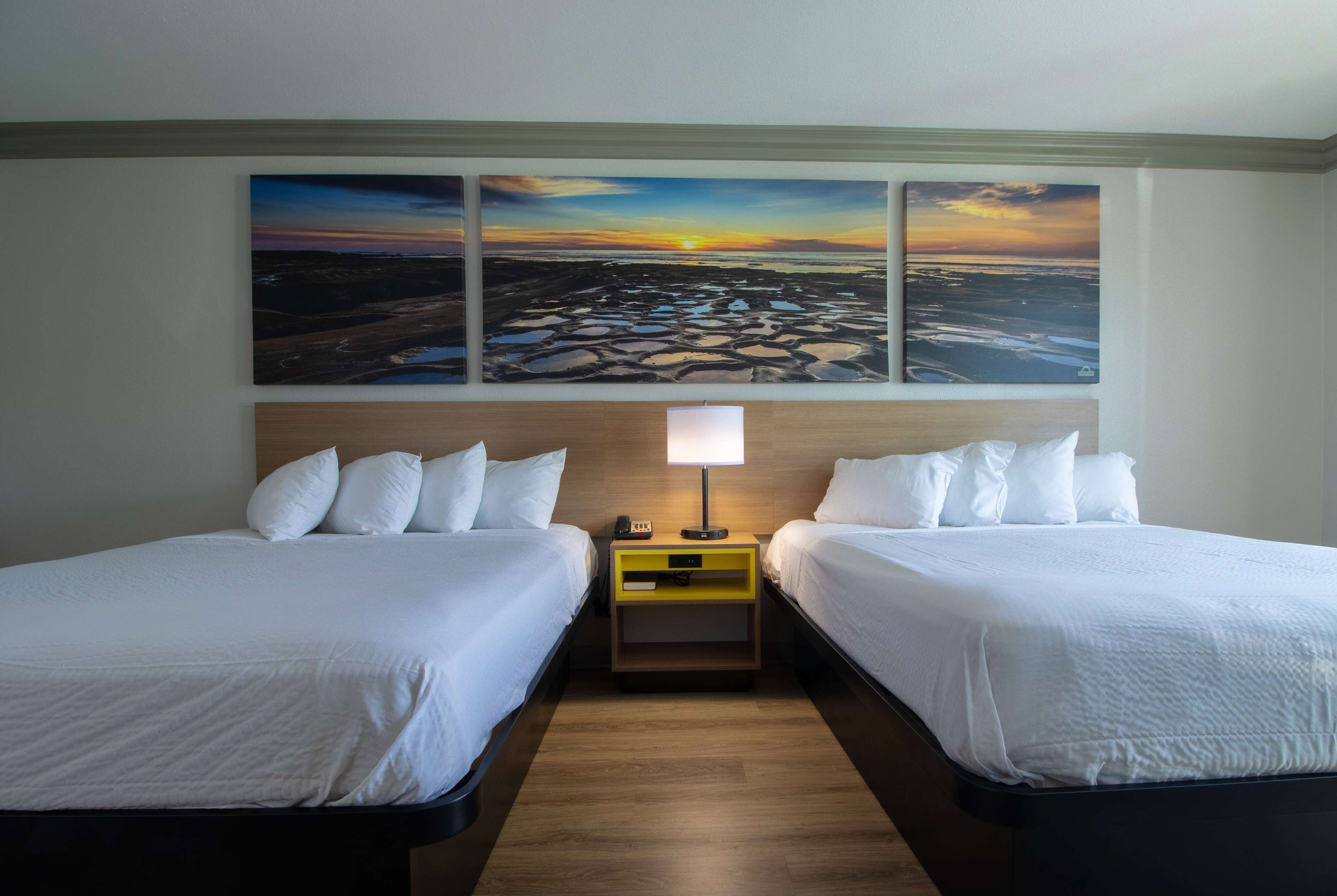 标准房, 2 张大床 | 办公桌、熨斗/熨衣板、免费 WiFi、床单