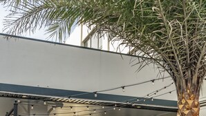 An outdoor patio area with seating, a palm tree, and decorative plants. - St Charles Coach House, an Ascend Collection Hotel (New Orleans)