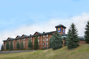 Ulkopuoli