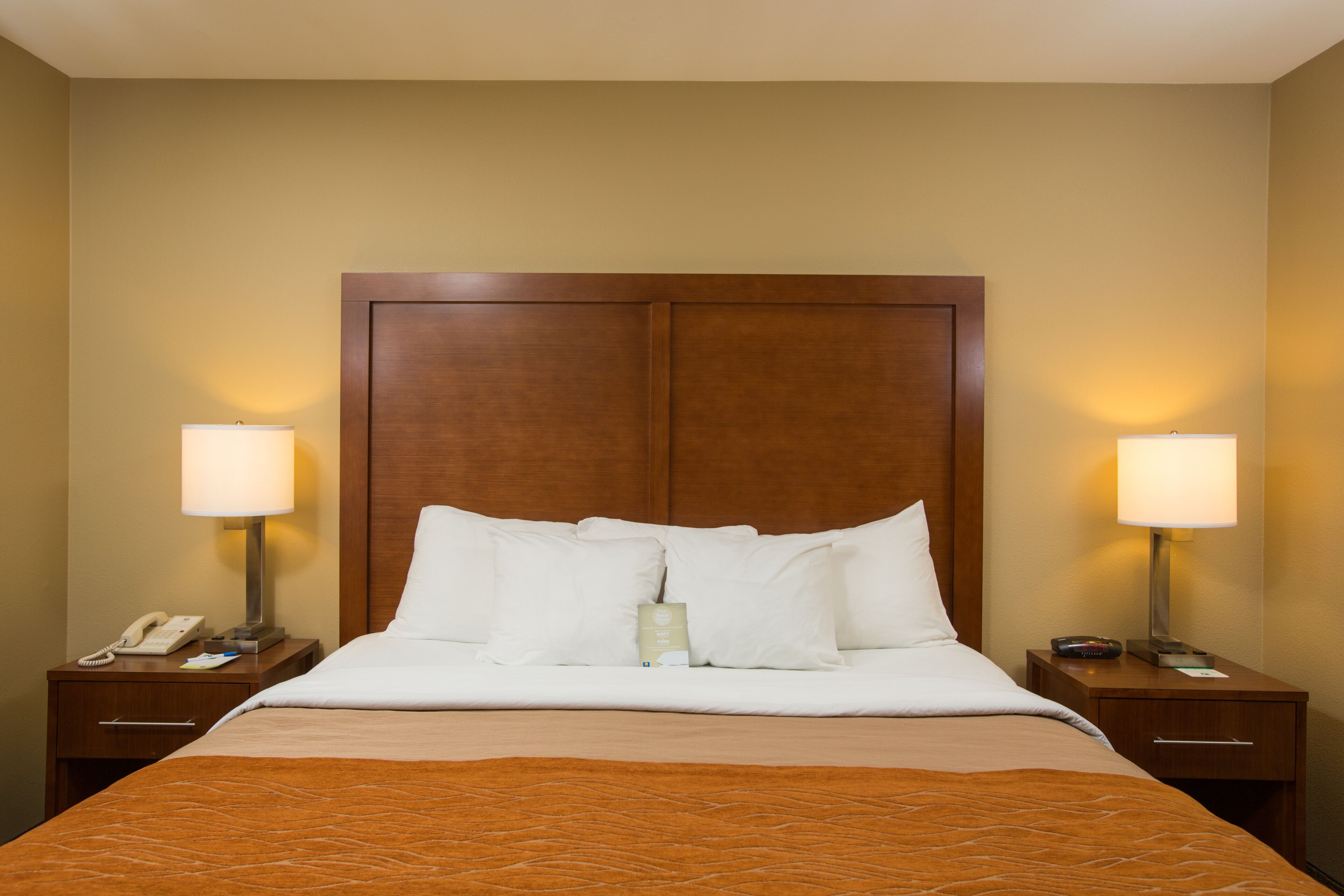 suite, 1 king bed with sofa bed | 1 bedroom, premium bedding, pillow-top beds, individually decorated