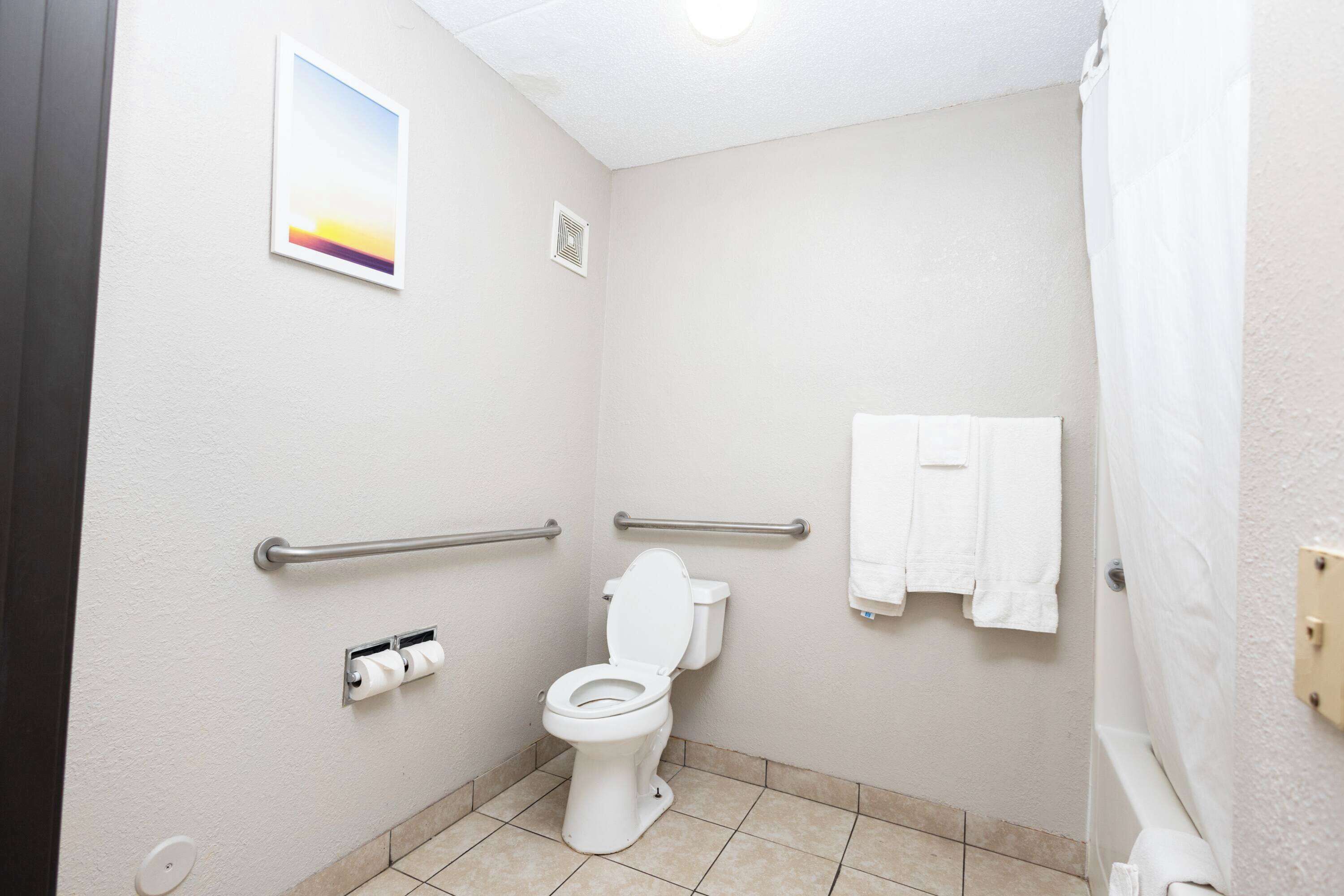 A small, clean bathroom with a toilet, handrails, a towel rack, and a shower curtain.
