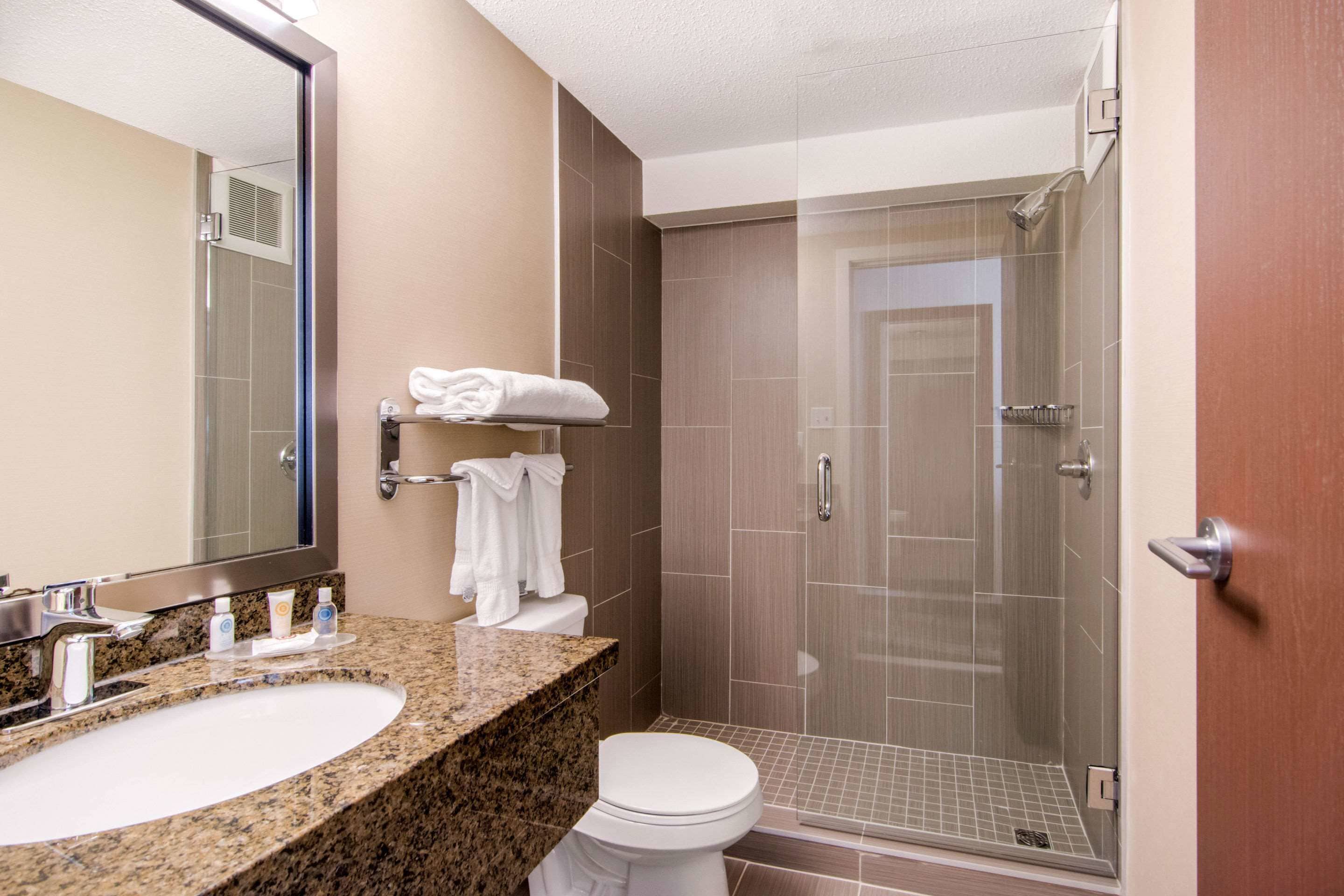 A bathroom with a granite countertop sink, a white toilet, a glass shower enclosure, and a large mirror.