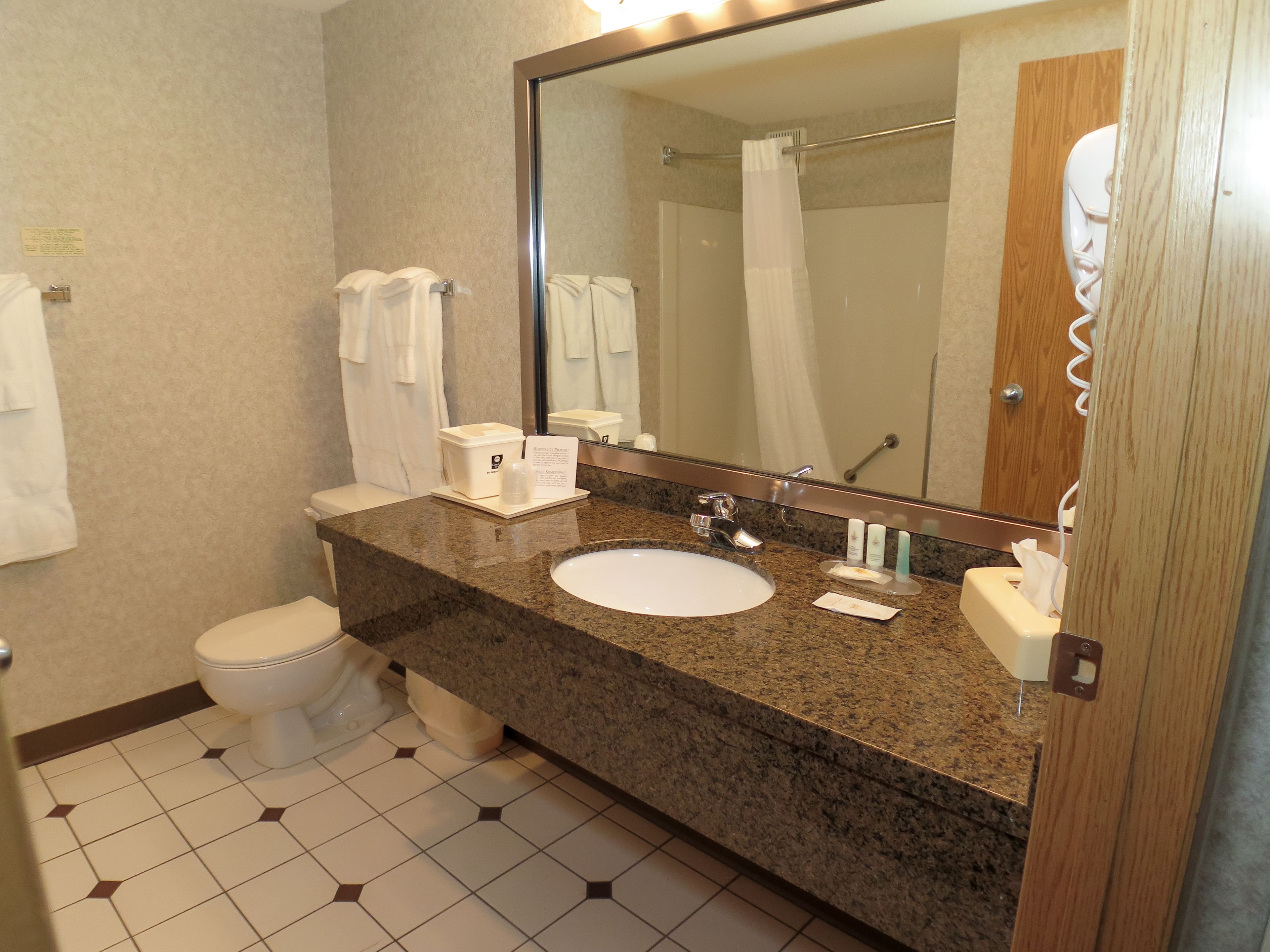 combined shower/bathtub, free toiletries, hair dryer, towels