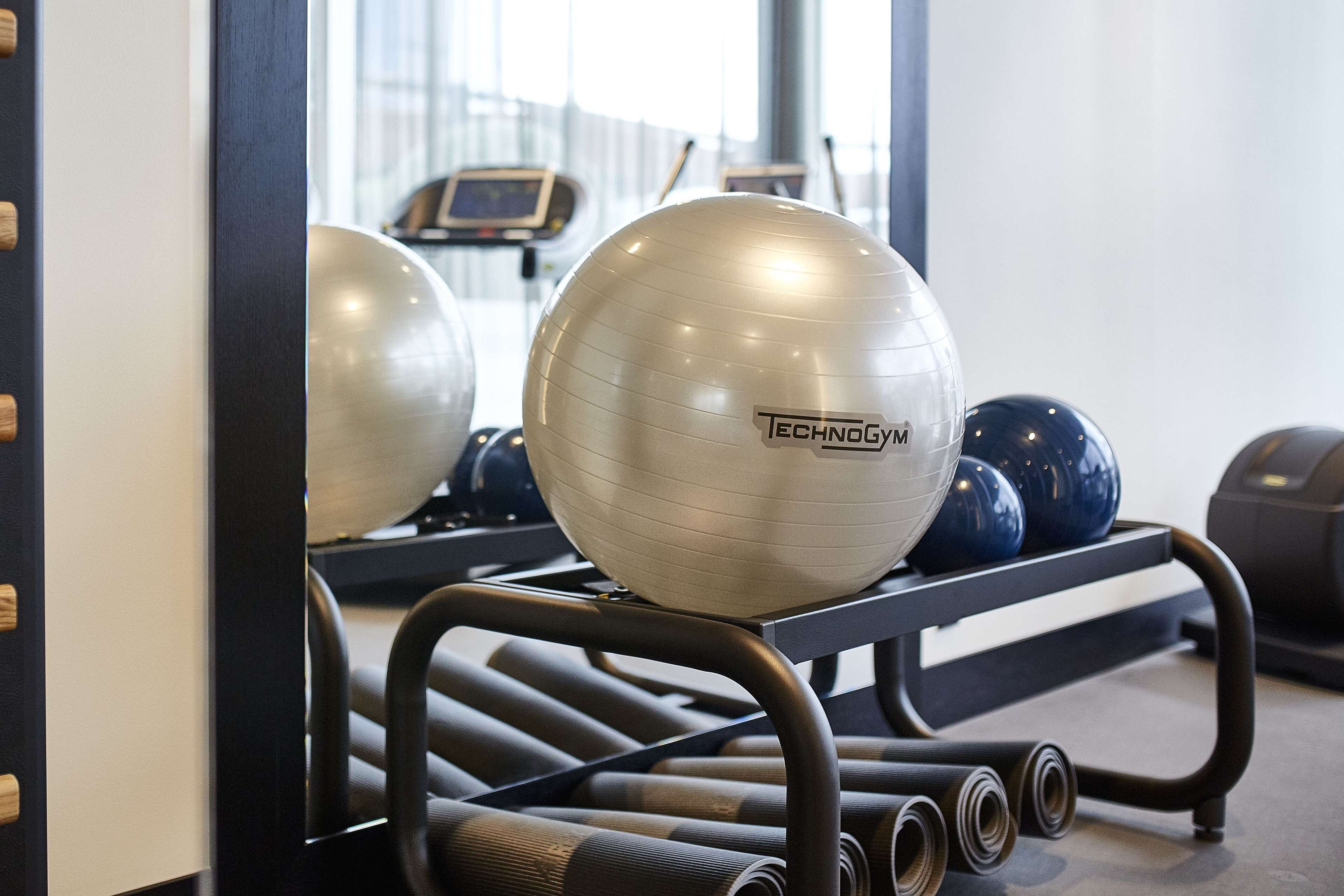 Un gimnasio con equipamiento de ejercicio, incluyendo balones TechnoGym y una caminadora.