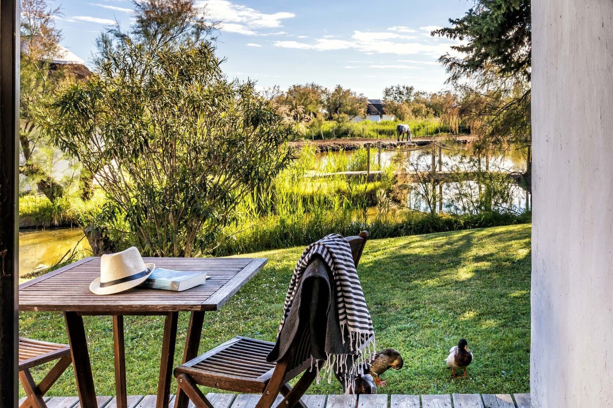 Vista desde la habitación