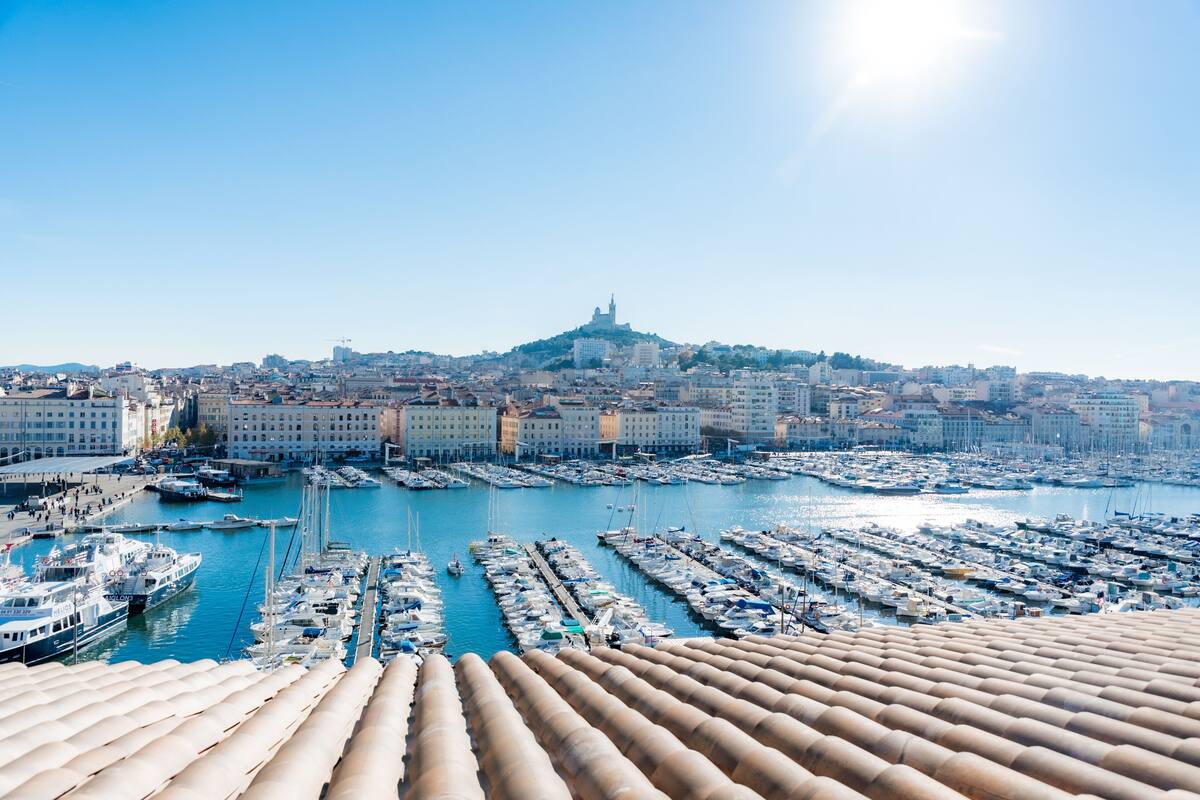 A marina with numerous boats docked, a prominent hill with a tower in the background, and a clear blue sky.