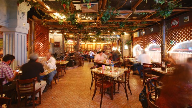 Een restaurant met houten balken en beplanting aan het plafond, tafels en stoelen klaar voor diners, en gasten aan het eten.