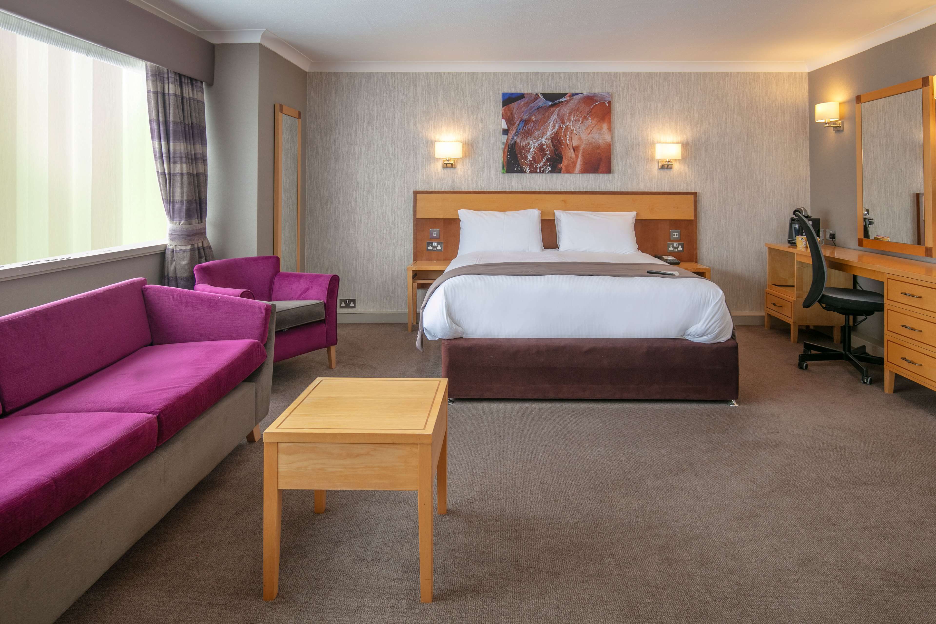 A hotel room with a bed, a wooden nightstand, a desk, a purple sofa, and a brown sofa.