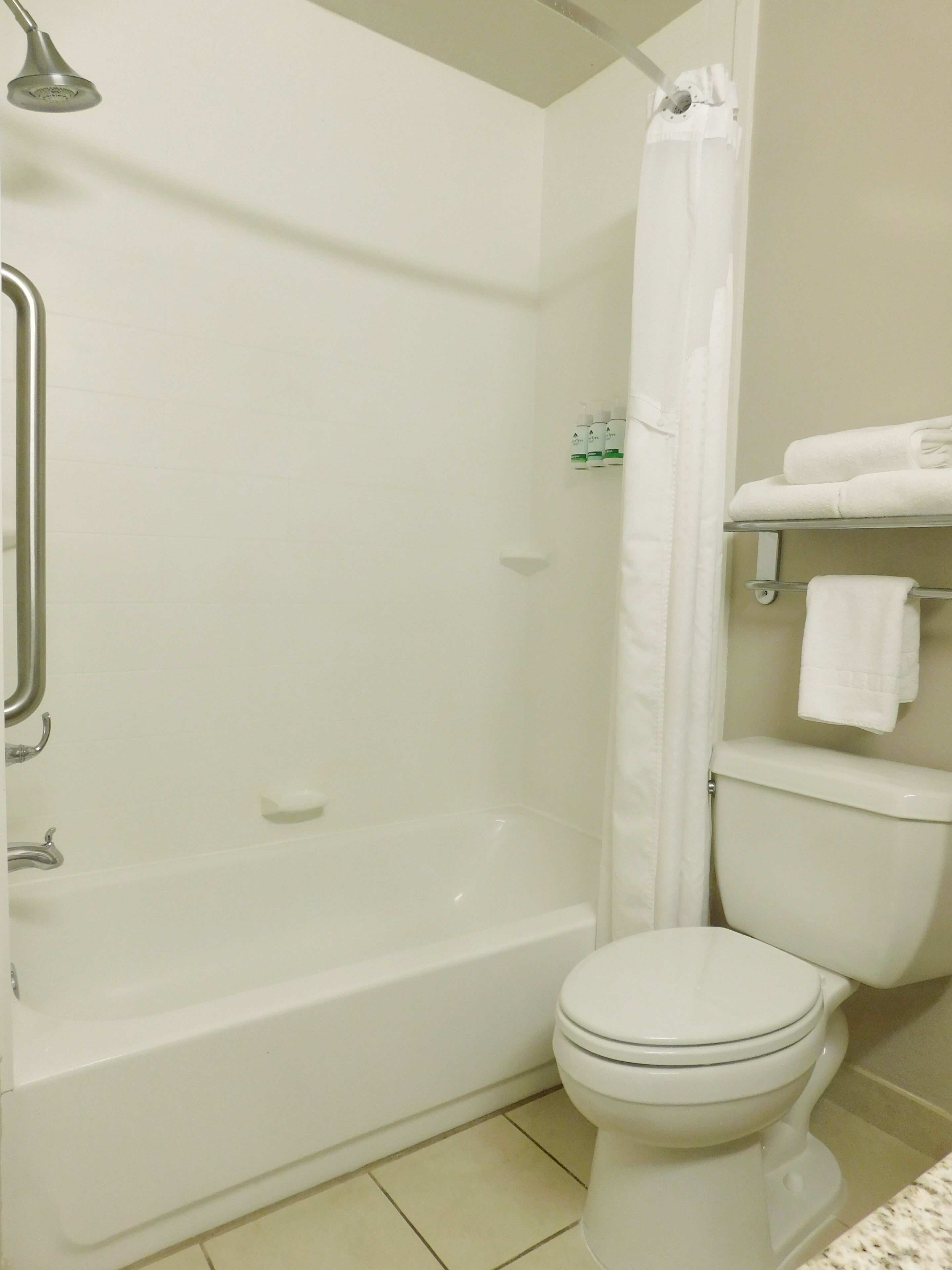combined shower/bathtub, free toiletries, hair dryer, towels