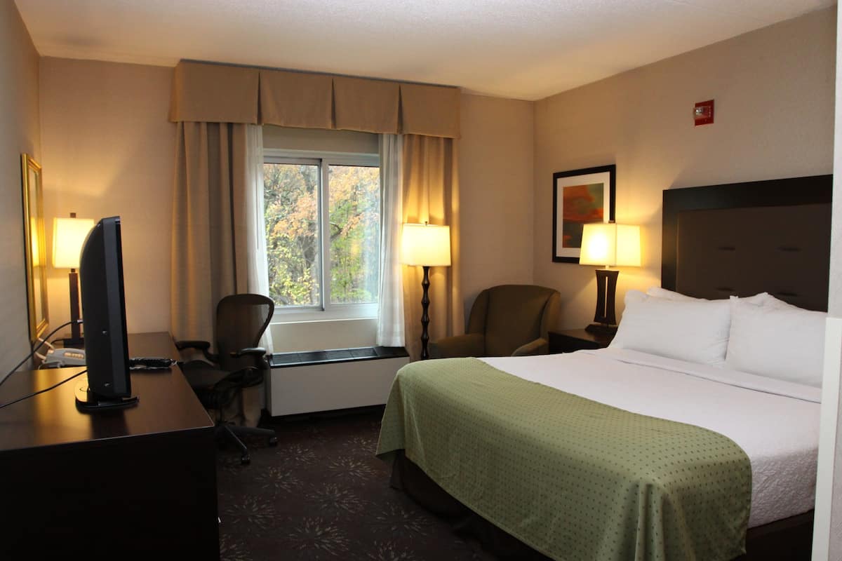Hypo-allergenic bedding, desk, laptop workspace, blackout curtains