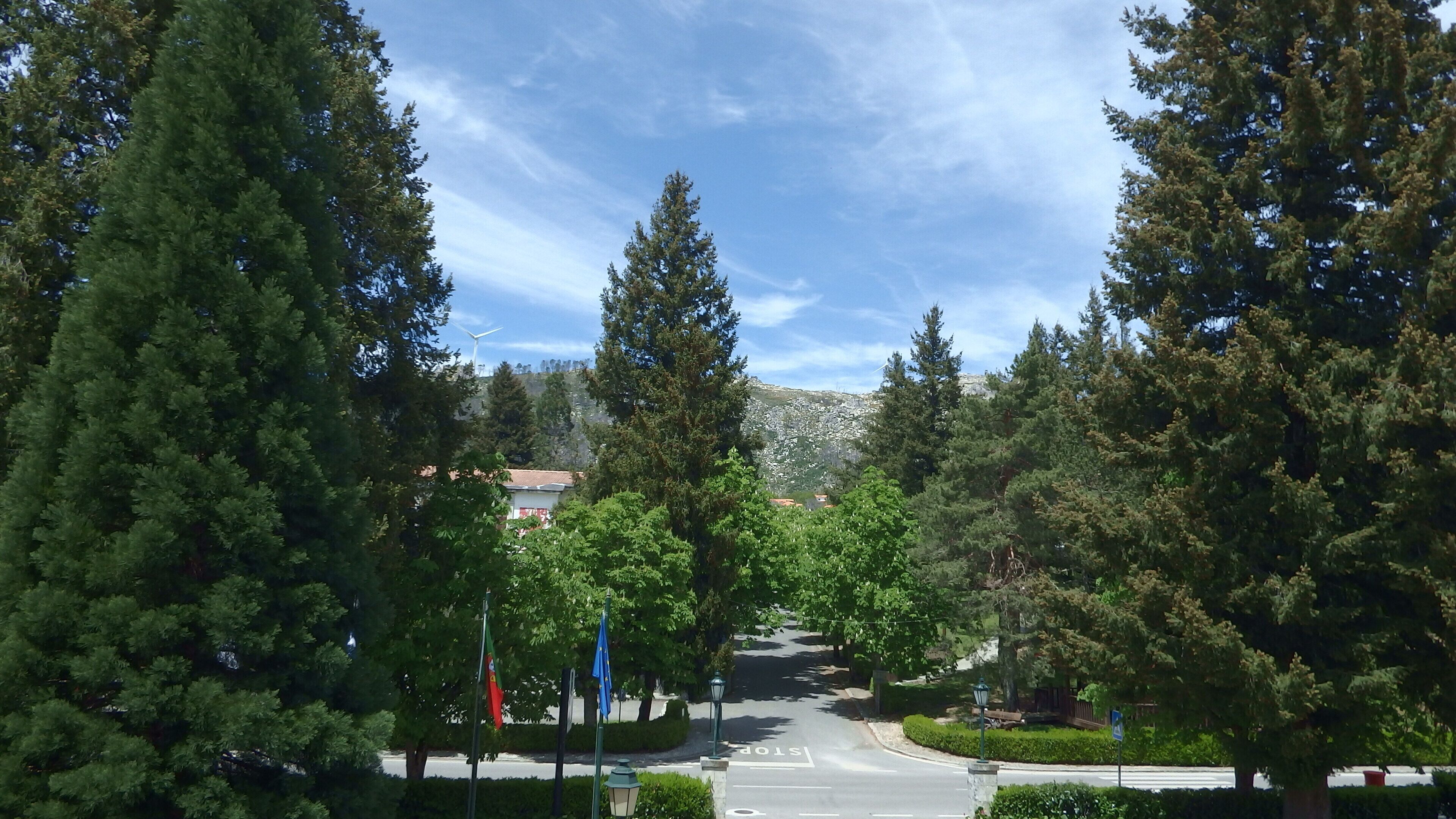 Foto - Golden Tulip Caramulo Hotel & SPA