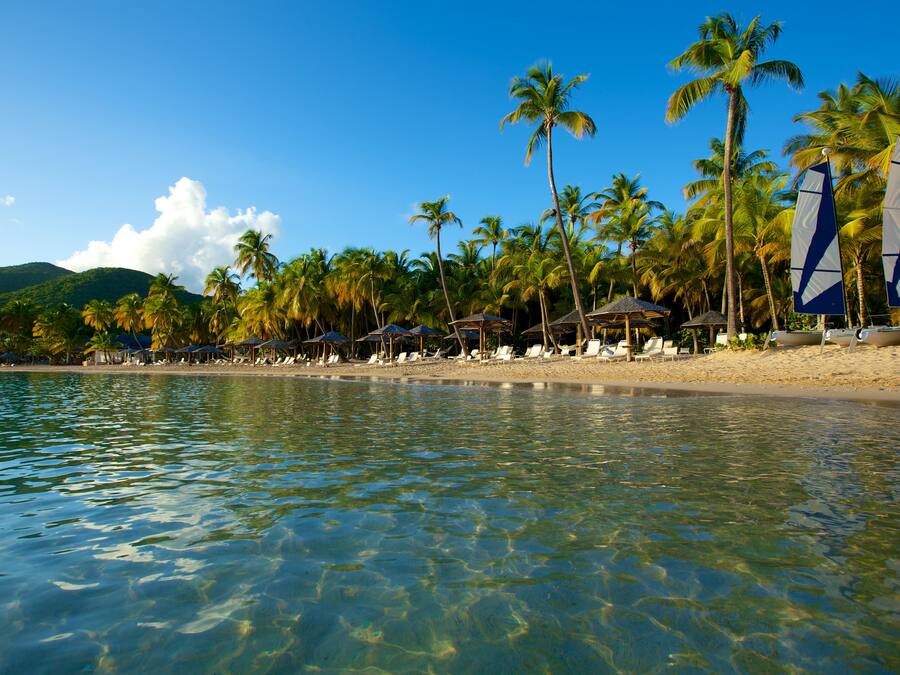 Ein Strand mit klarem Wasser, Palmen und Liegestühlen.