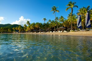 Een strand met helder water, palmbomen en ligbedden.