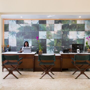 A reception desk with three chairs, a laptop, and a potted plant.