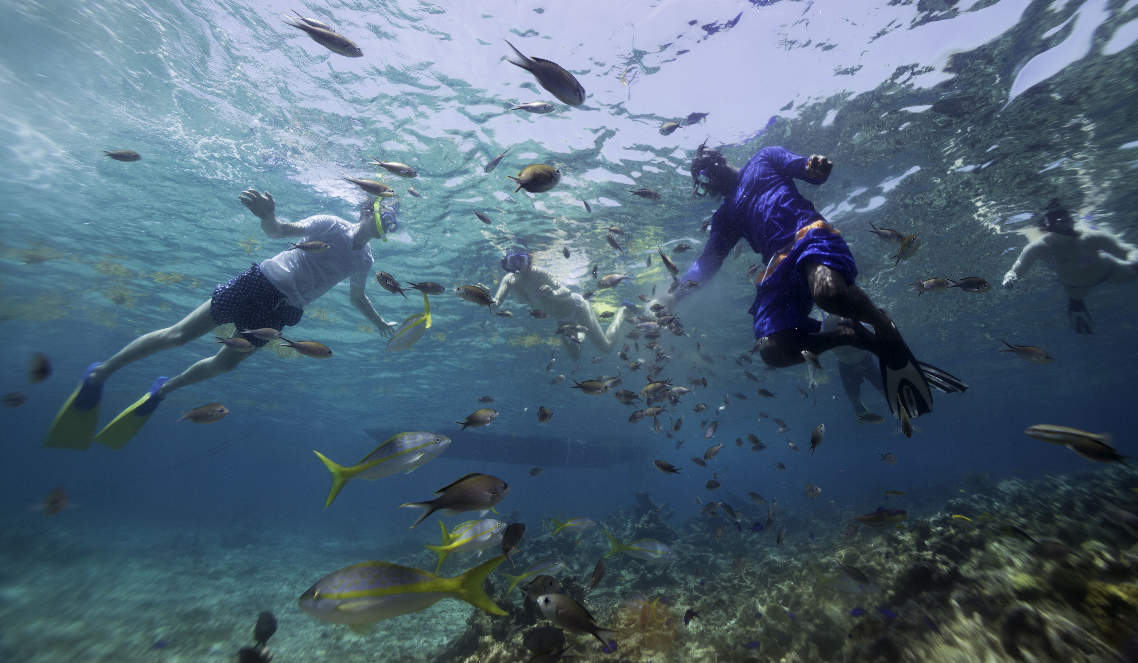 Foto - Curtain Bluff - All Inclusive