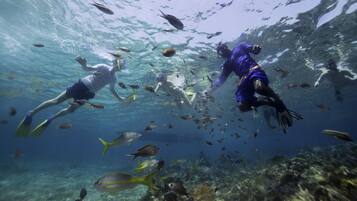 Escena submarina con buzos y peces.