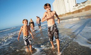 Ubicación a pie de playa, bar en la playa y pesca