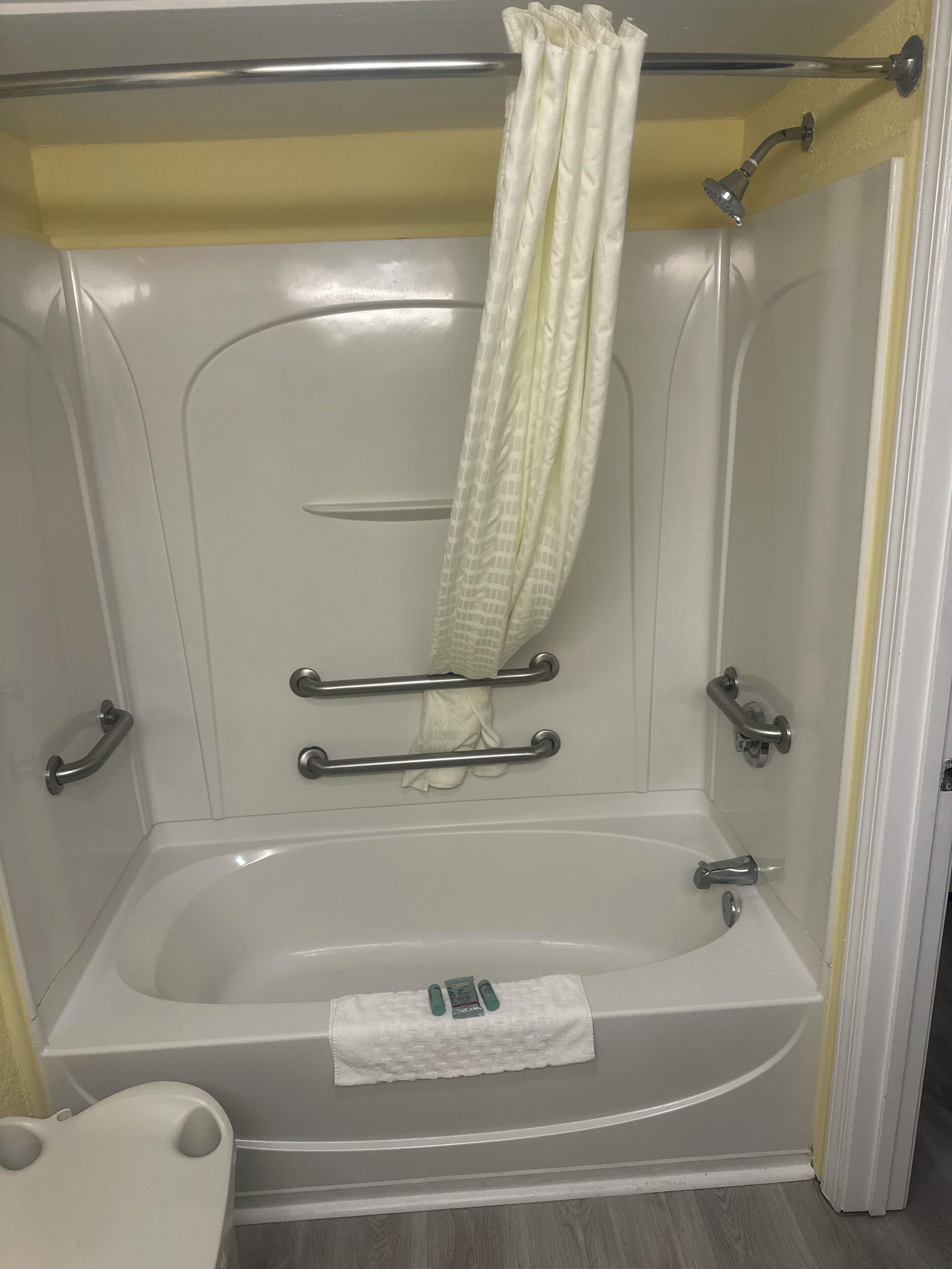 Standard Room, 1 King Bed, Accessible, Non Smoking (with Sofabed) | Bathroom | Combined shower/tub, free toiletries, hair dryer, towels
