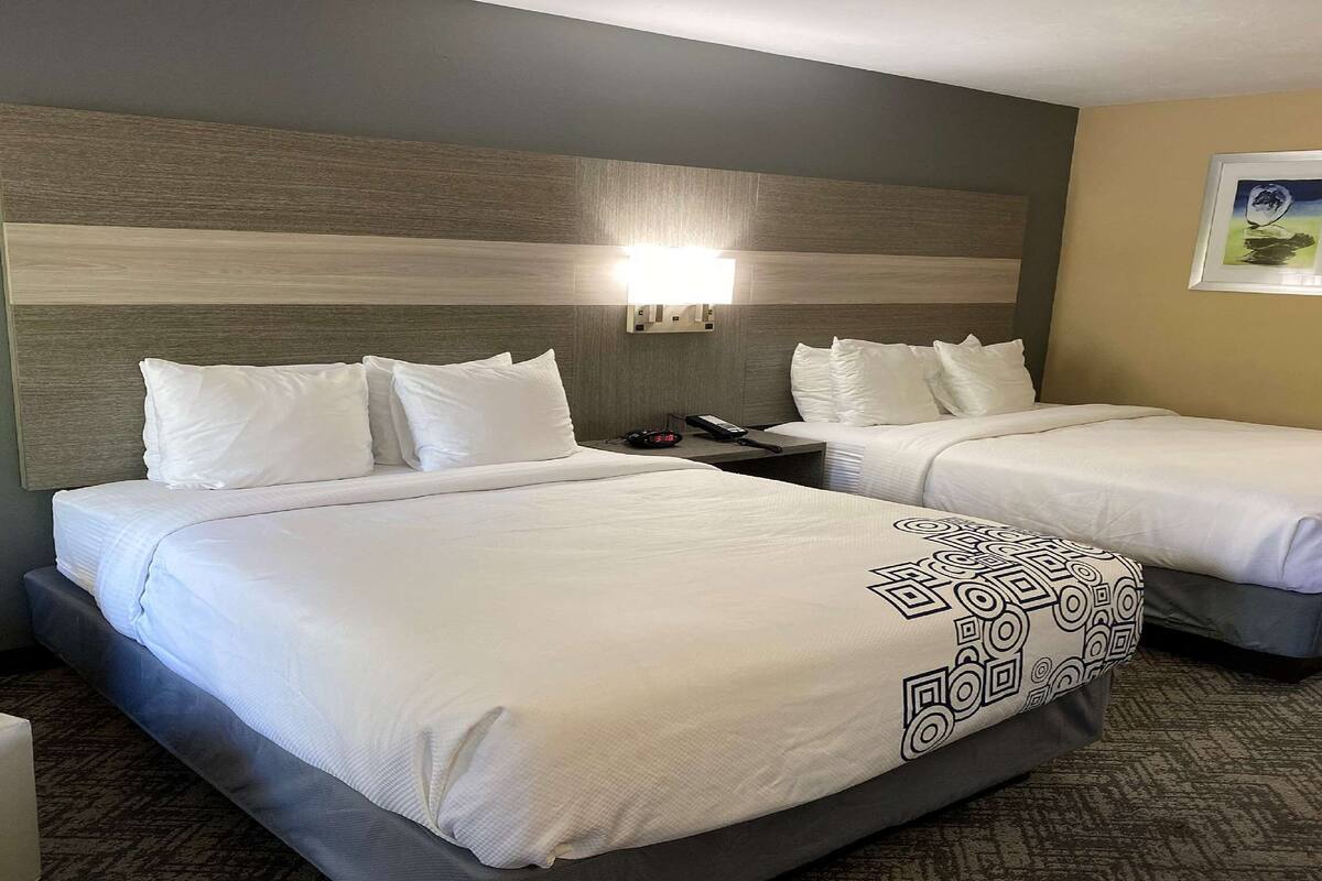 suite, multiple beds, non smoking (walk-in shower) | 1 bedroom, desk, laptop workspace, iron/ironing board