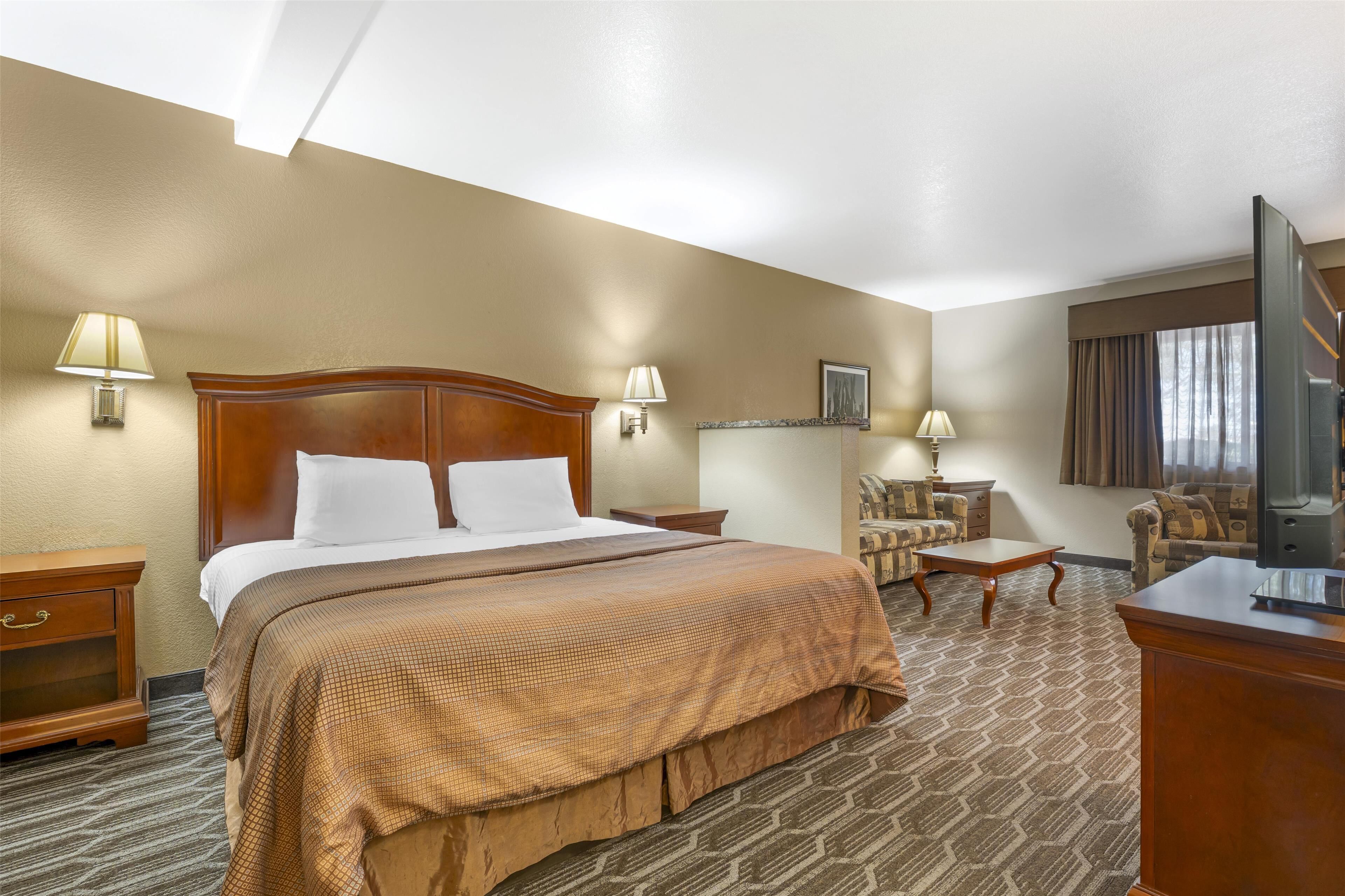 suite, 1 king bed, non smoking, refrigerator & microwave (larger room;with sofabed) | 1 bedroom, in-room safe, desk, laptop workspace