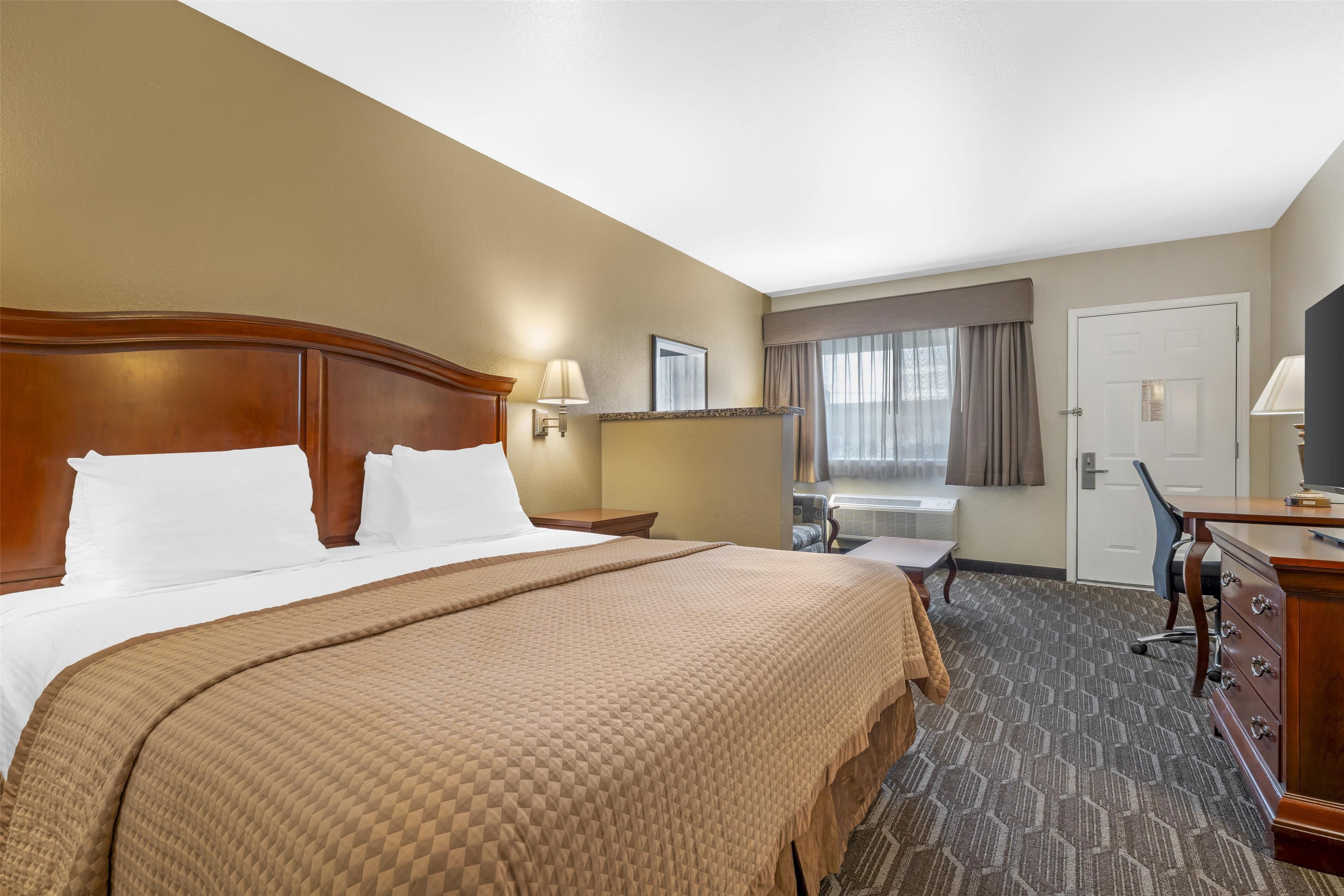 standard room, 1 king bed, non smoking, refrigerator & microwave (with sofabed) | 1 bedroom, in-room safe, desk, laptop workspace