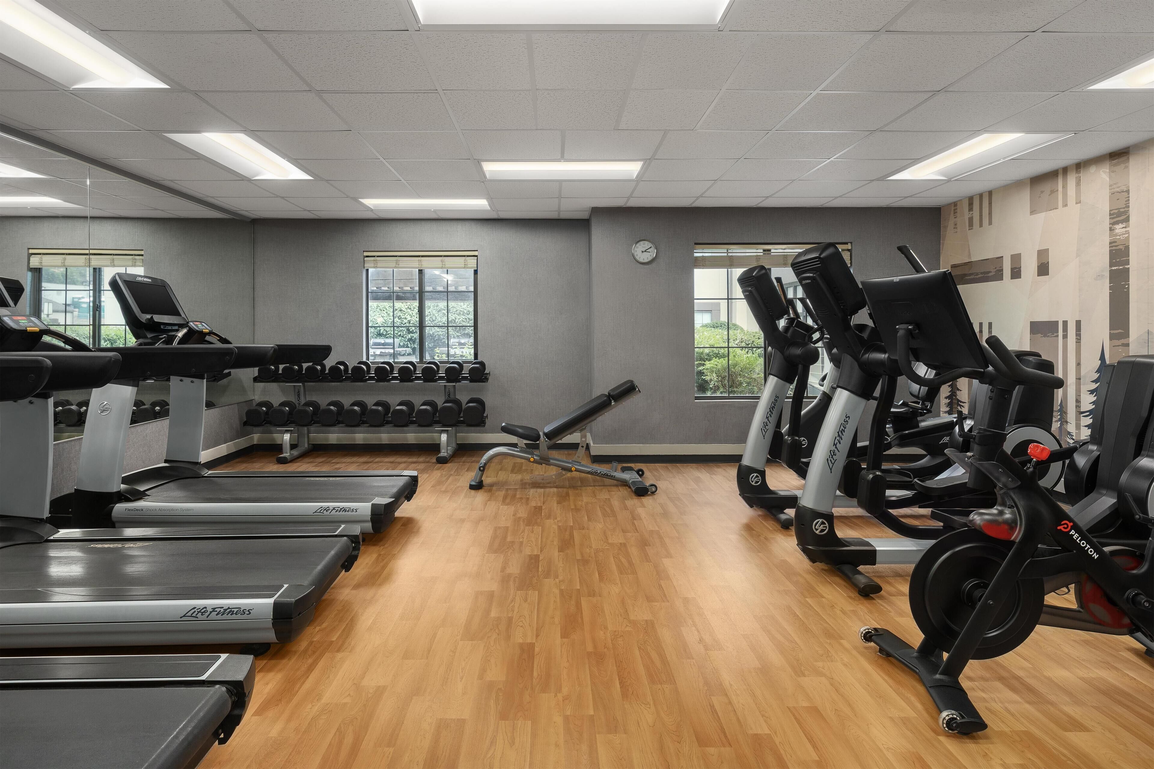 Un gimnasio con cintas de correr, máquinas de pesas y mancuernas.