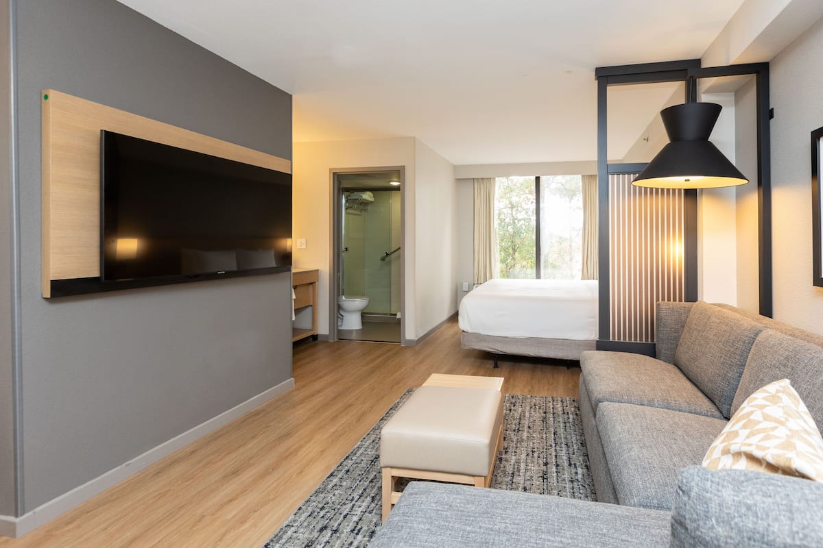 A modern hotel room with a flat-screen TV mounted on the wall, a grey sofa, a wooden bench, and a large window with curtains.