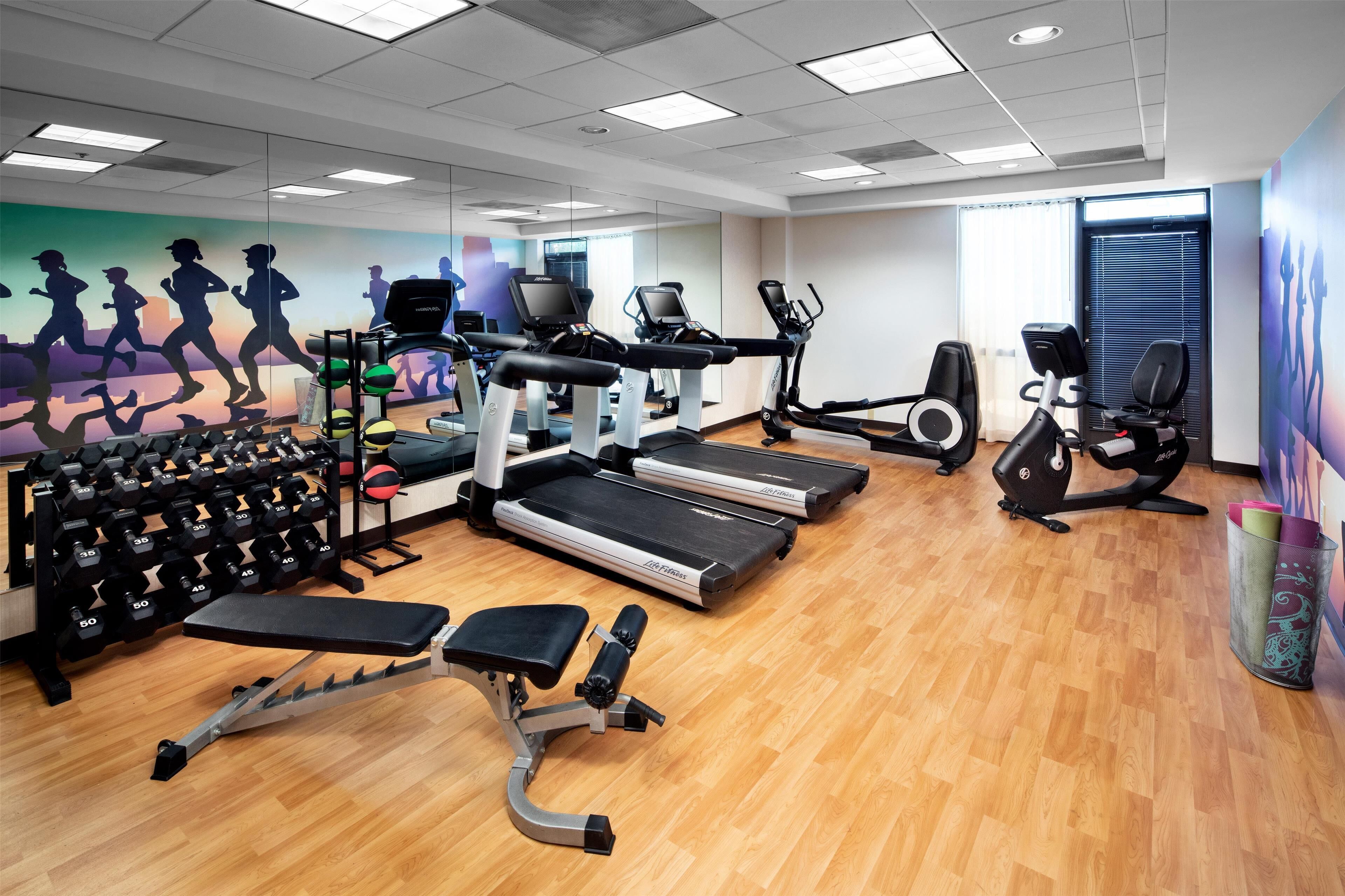 A gym with treadmills, weight machines, and dumbbells.
