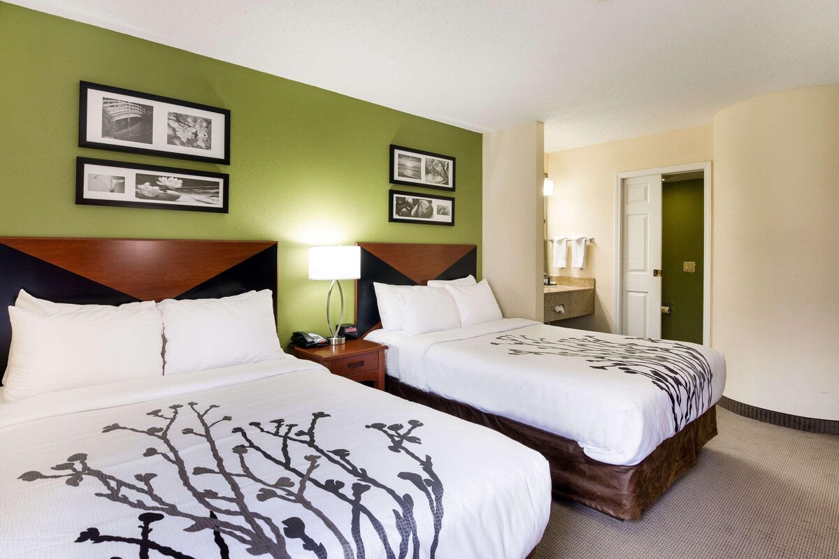 A hotel room with two beds, a green accent wall, framed pictures, a bedside lamp, and a door leading to a bathroom.