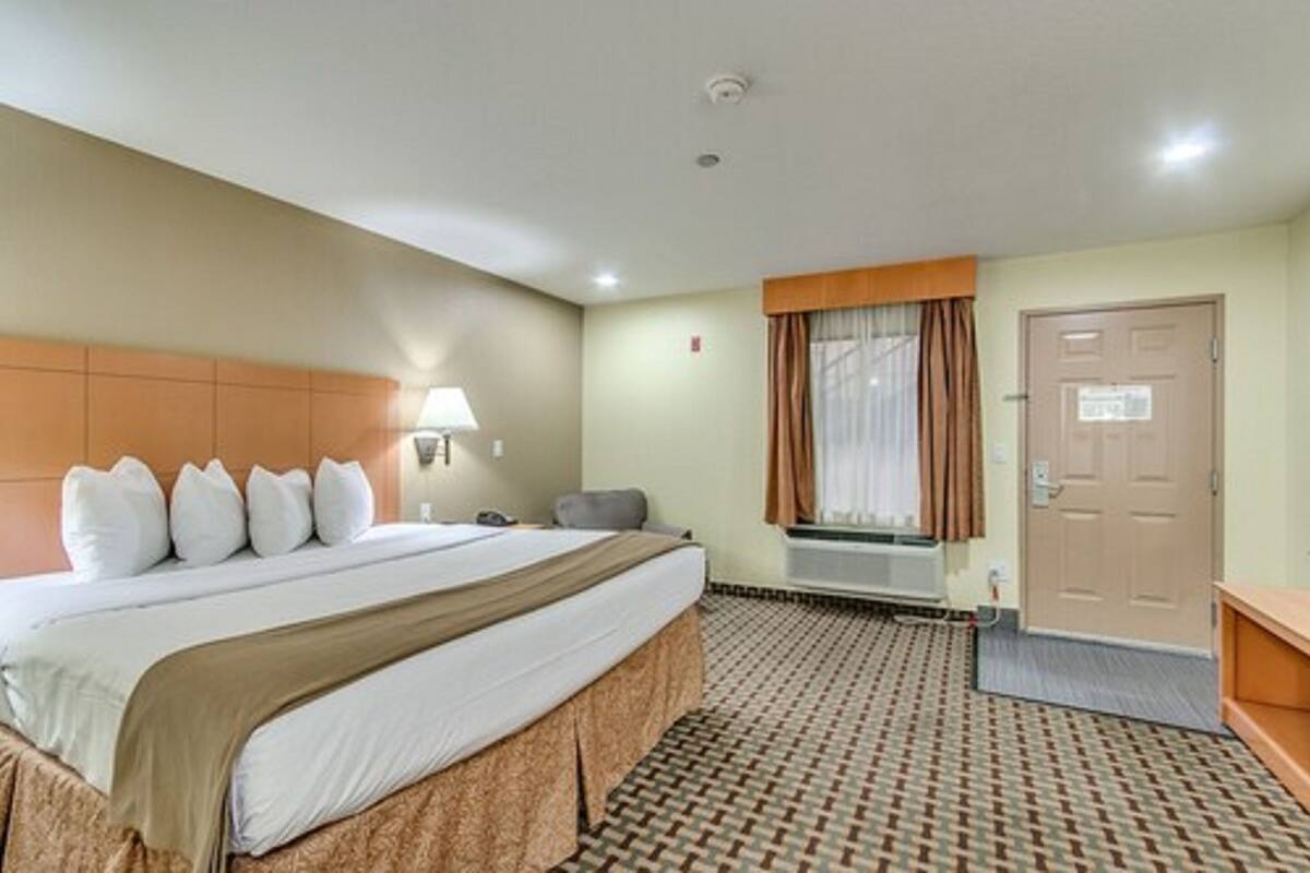 A hotel room with a bed, a desk, a chair, a window with curtains, a door, and a patterned carpet.