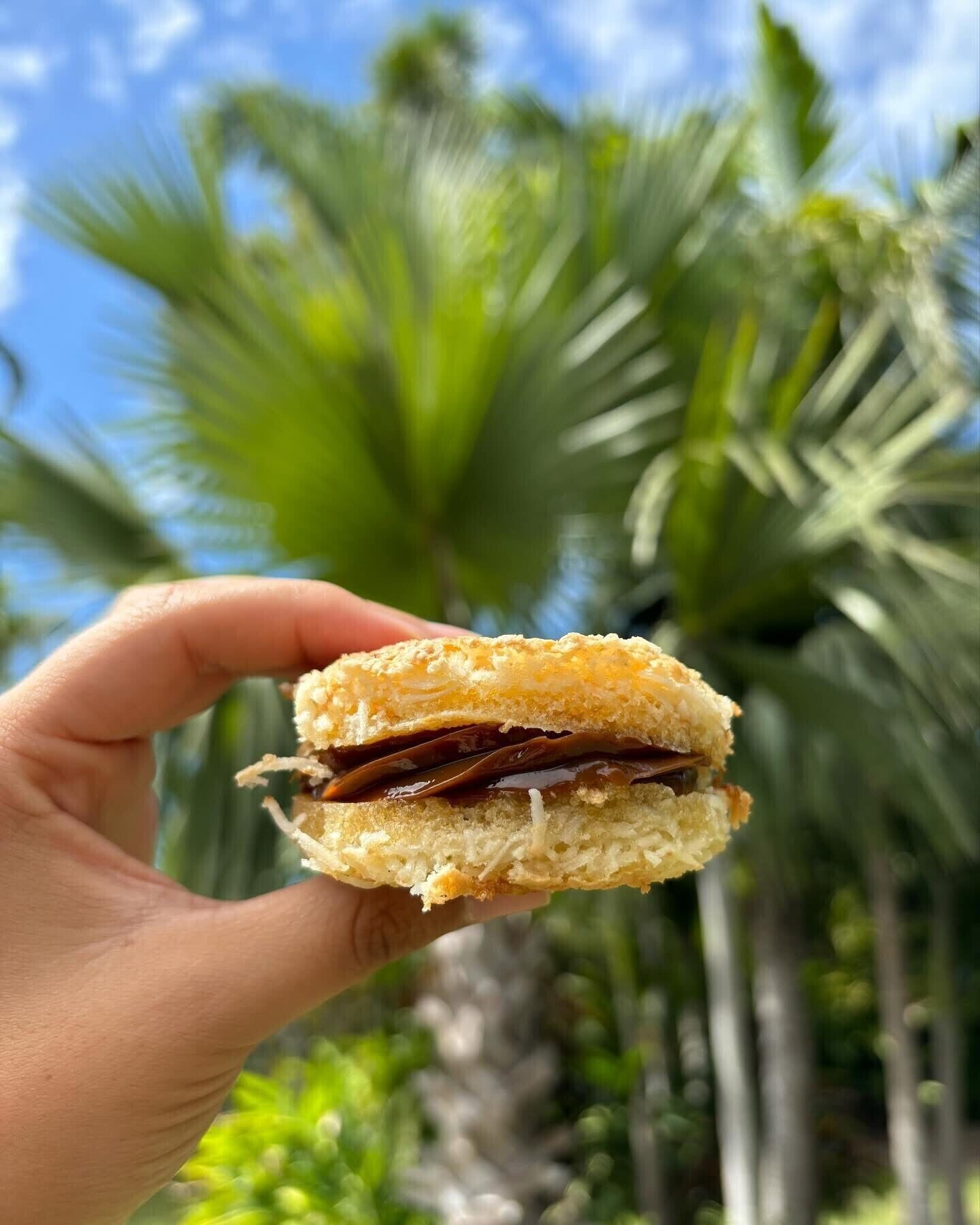 A hand holding a sandwich with a visible filling, palm trees, and greenery in the background.