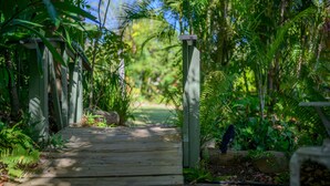 A wooden pathway leading through a lush garden with dense foliage and a clear sky. - Amaroo Rainforest Resort (Nelly Bay)