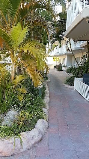 Taman