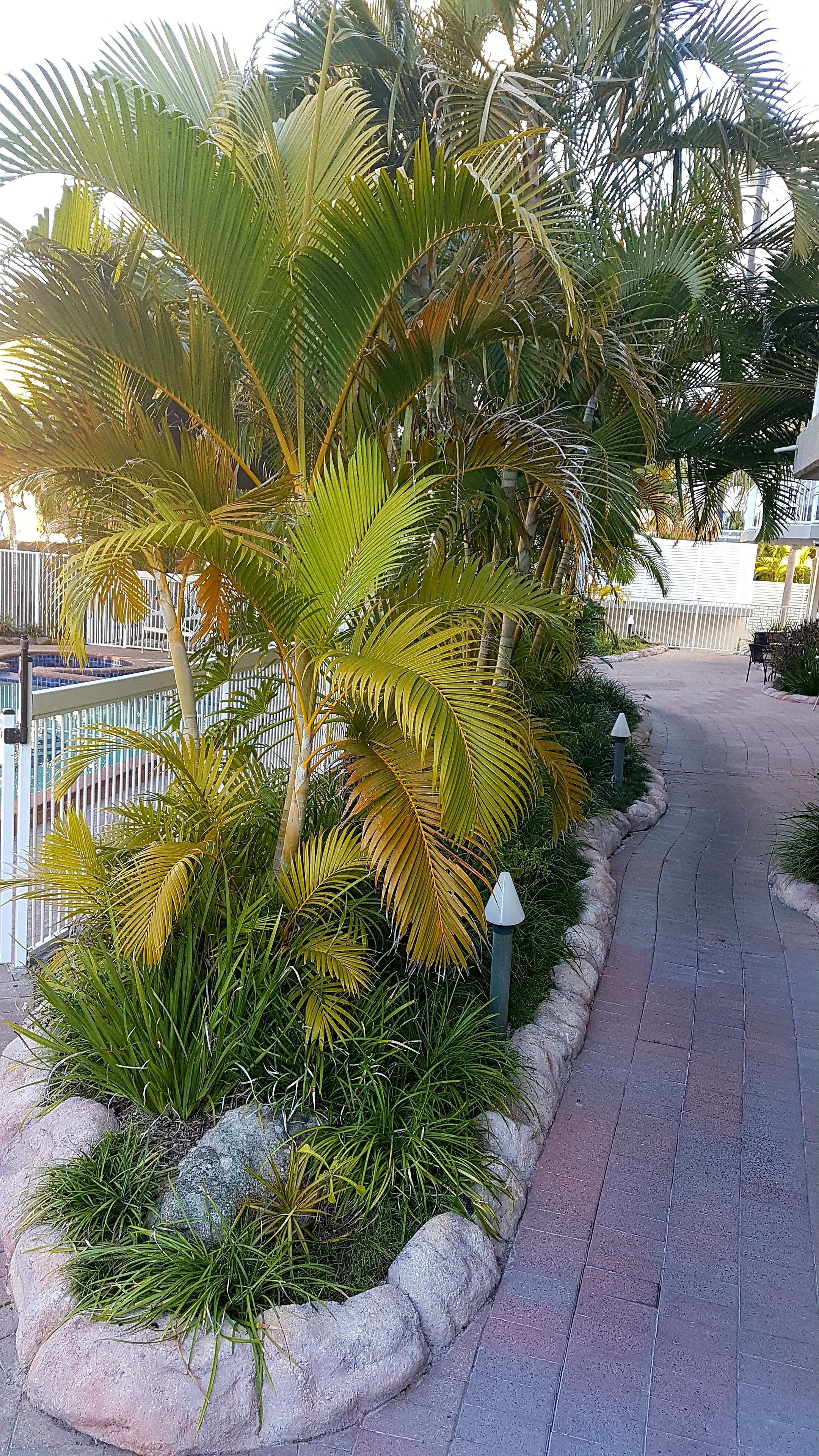 Photo - Outrigger Burleigh