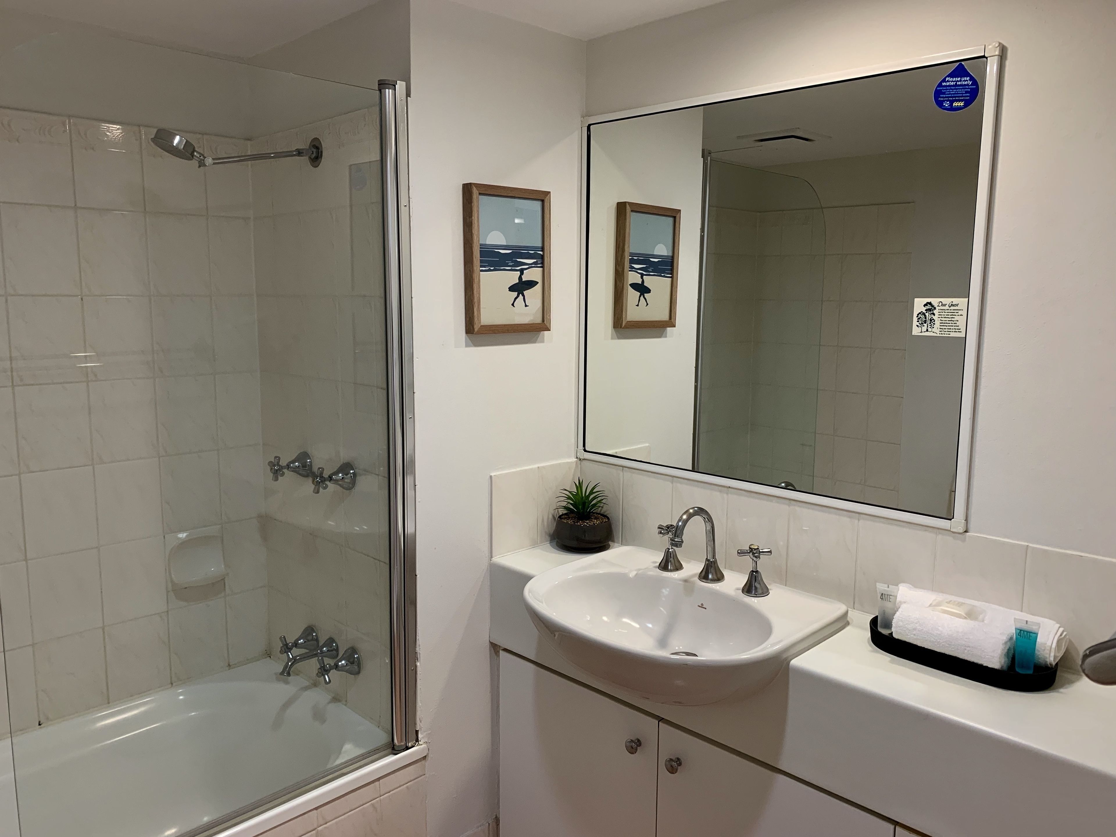 A bathroom with a glass-enclosed shower, a sink with a mirror above it, and a small potted plant on the counter.