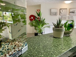 Una encimera de cocina con un acuario, una planta en maceta y un cuenco decorativo.