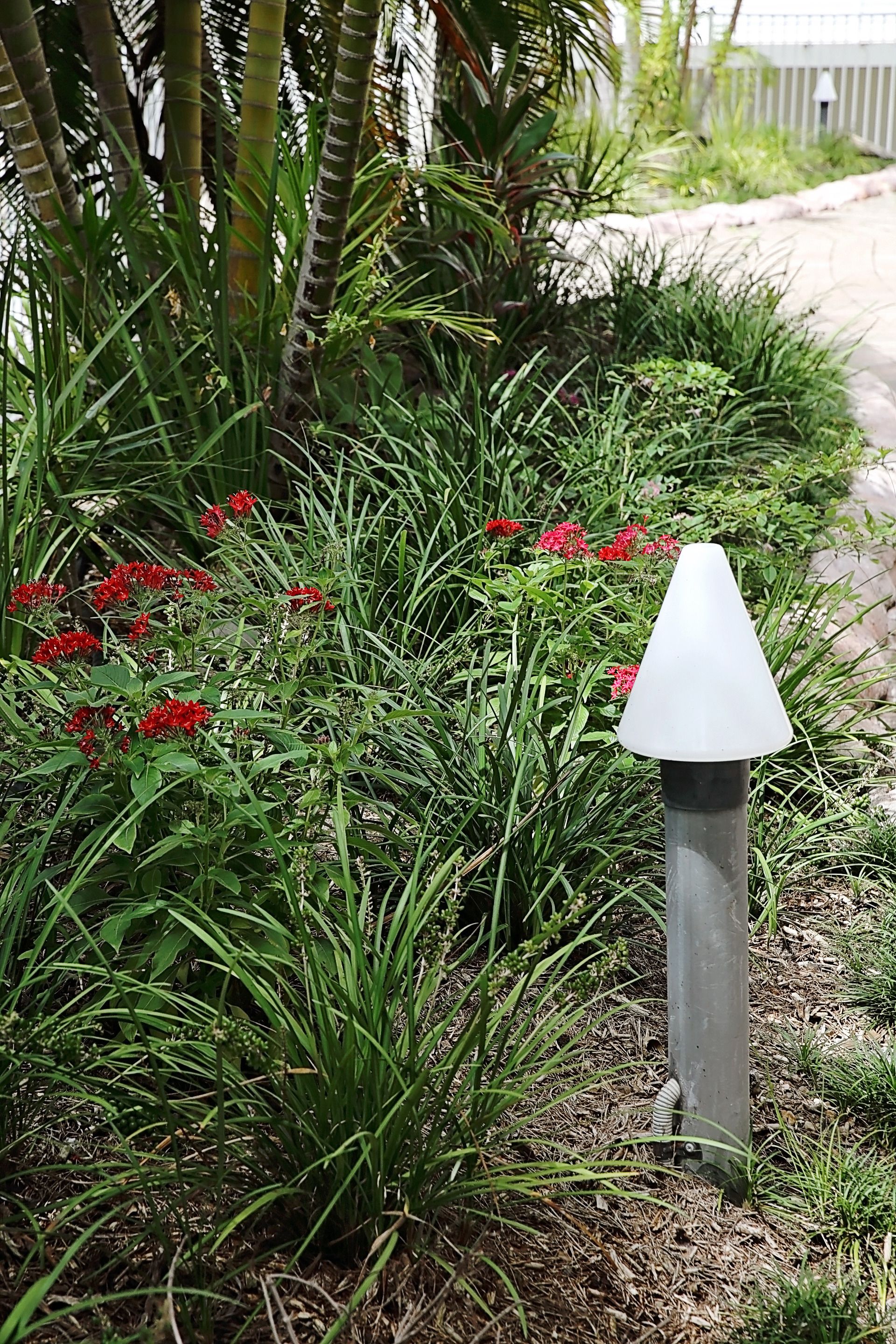 Ein Garten mit roten Blumen und einem weißen, kegelförmigen Objekt.
