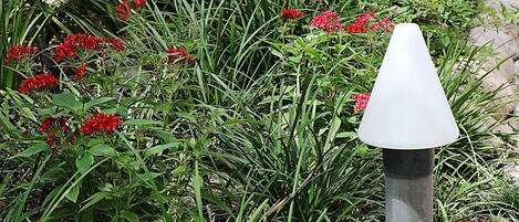 Ein Garten mit roten Blumen und einem weißen, kegelförmigen Objekt.