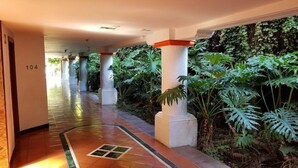Un pasillo con columnas, piso de baldosas y abundante vegetación.
