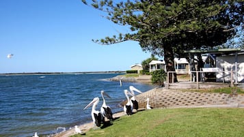 Nära stranden, vit sandstrand och fiske