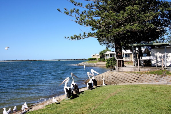 Beach nearby, white sand, fishing