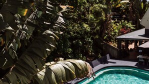 A swimming pool surrounded by lush greenery, with a wooden deck and a covered seating area. - Greenmount Beach House (Coolangatta)