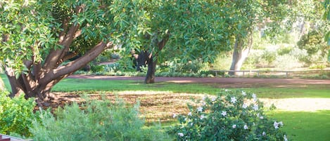 Standard Room, Non Smoking (Garden View Room) | Garden view