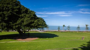 A park with a large tree, a grassy area, and a view of the ocean. - Foreshore Motor Inn (Whyalla)