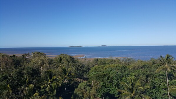 A coastal landscape with dense tropical vegetation and a clear view of the ocean.