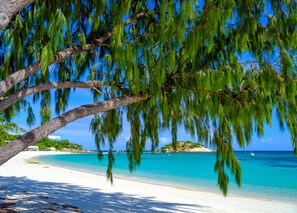 A beach with clear turquoise water, white sand, and a tree with hanging branches.