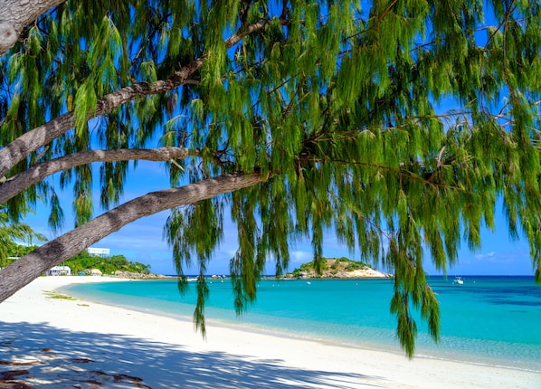 Plage privée, sable blanc, chaises longues, parasols