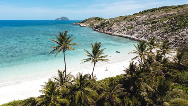 Una playa con aguas turquesas cristalinas, arena blanca y palmeras.