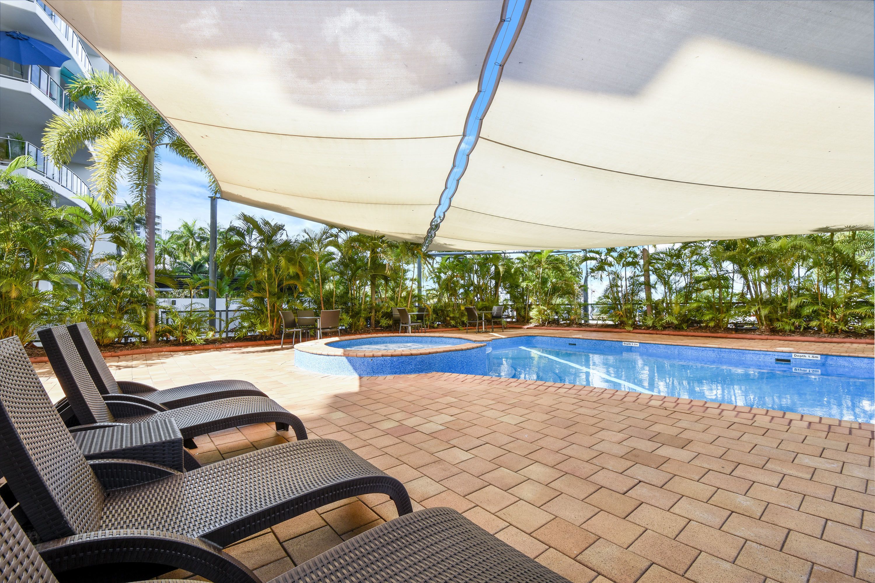 A poolside area with lounge chairs, a swimming pool, and palm trees.