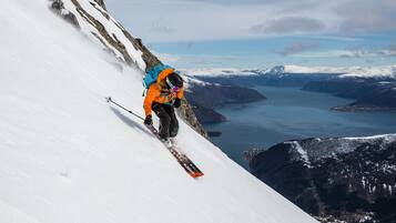 Snø- og skisport